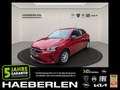 Opel Corsa F 1.2 Edition SpurH Klima DAB ZV Rosso - thumbnail 1