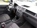 Volkswagen Caddy Caddy Maxi Kasten 2.0 TDi Klima zus. WR Silber - thumbnail 29
