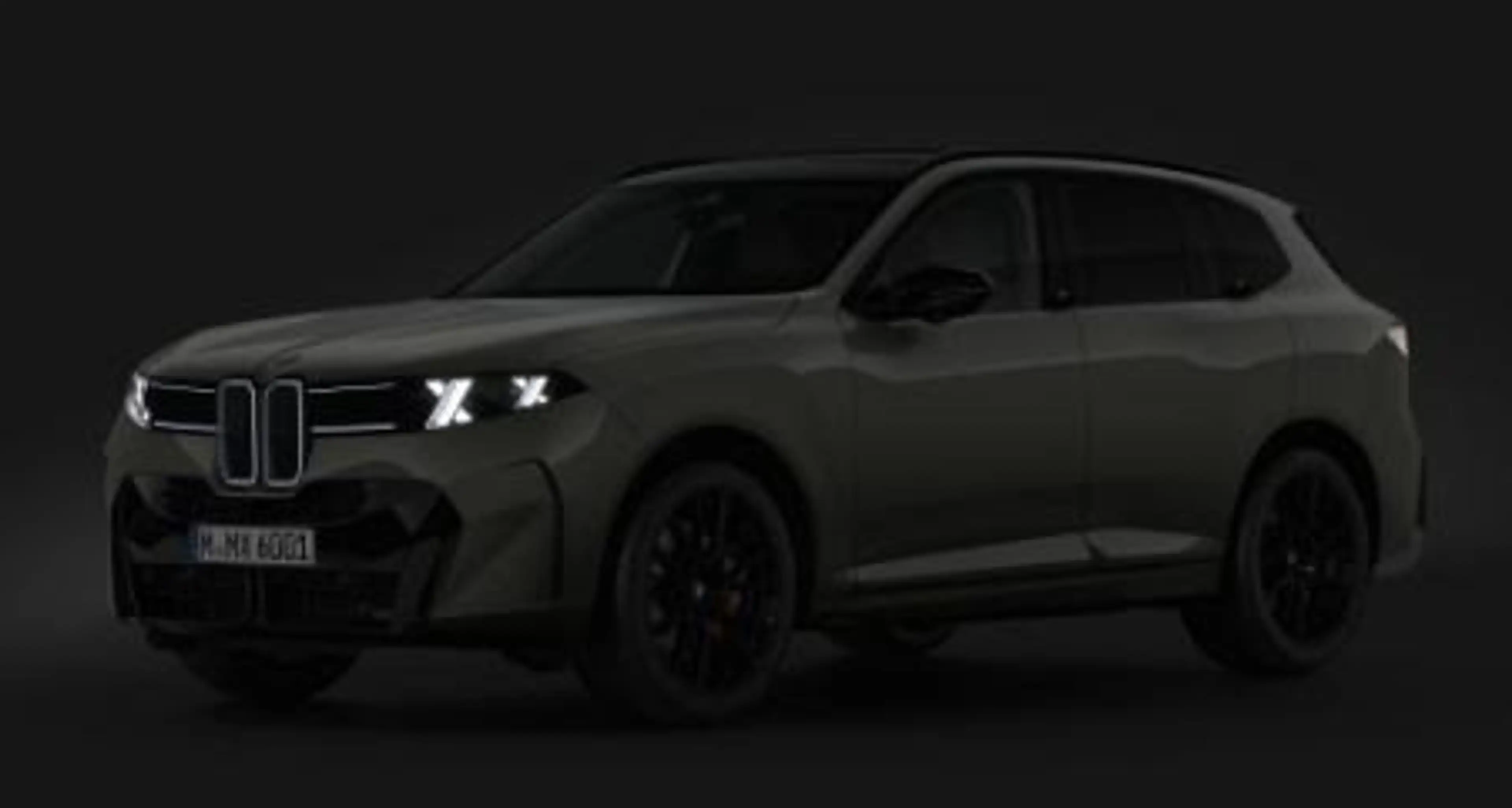 BMW X5 40d xDrive M Sport PRO VintageLeder PassengerScree — photo 5