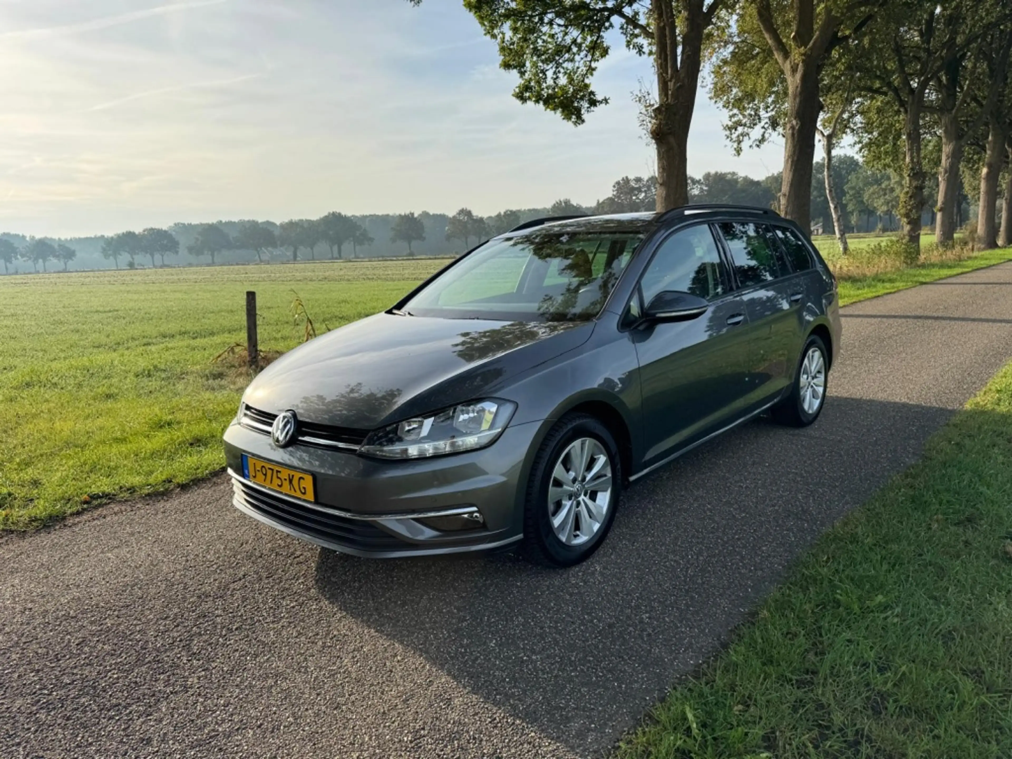 Volkswagen Golf Variant 1.0 TSI Comfortline — photo 3