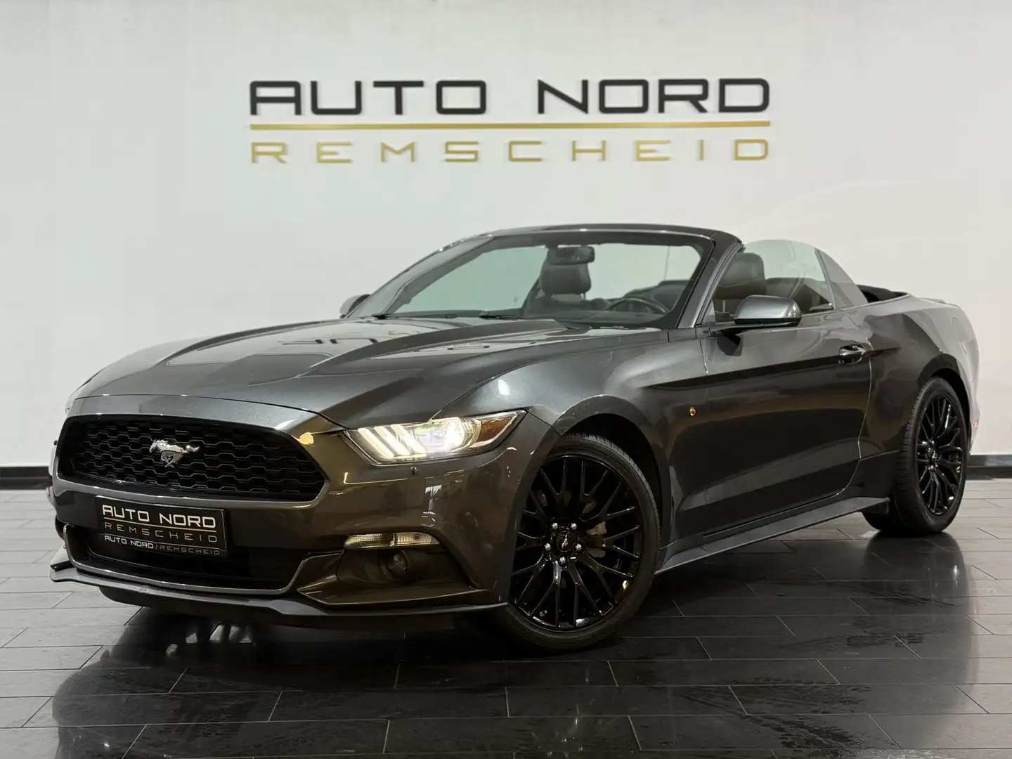 Ford Mustang Convertible Automatik*Leder*Kamera*19"* Gris - 1