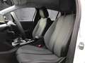 Peugeot 208 ALLURE Benzin 100 6-Gang-Manuell Weiß - thumbnail 7