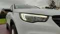 Opel Grandland X 1.5 CDTI 130 Business Edition Blanc - thumbnail 27