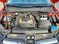 Skoda Fabia 1.0 TSI Ambition OPF (EURO 6d) Klima Einparkhilfe Rot - thumbnail 11