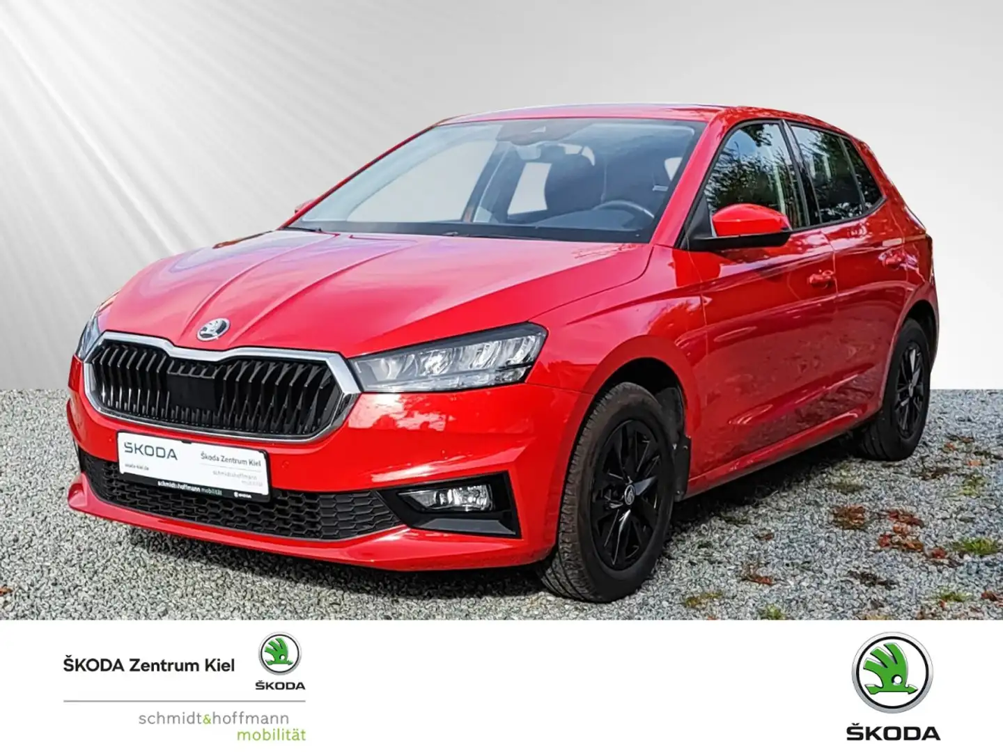 Skoda Fabia 1.0 TSI Ambition OPF (EURO 6d) Klima Einparkhilfe Rot - 1
