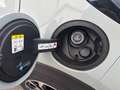 Ford Puma Titanium Grau - thumbnail 6