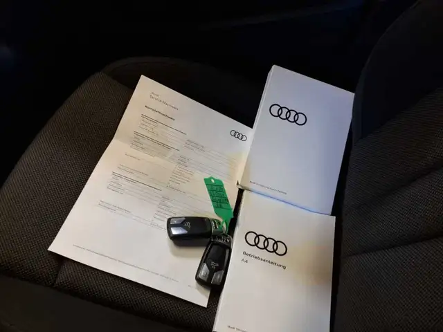 Audi A4 Allroad view 15