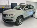 Skoda Karoq Ambition 4x4 Automatik AHK Grau - thumbnail 1