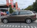 Volkswagen Golf Variant 1.6 TDI DPF DSG MATCH Braun - thumbnail 4