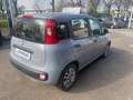 Fiat Panda Panda 1.0 firefly hybrid Grigio - thumbnail 4