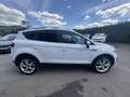 Ford Kuga 2.0 TDCI 163CH FAP TITANIUM 4X4 Blanc - thumbnail 4