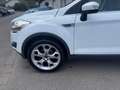 Ford Kuga 2.0 TDCI 163CH FAP TITANIUM 4X4 Blanc - thumbnail 9