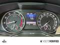 Skoda Superb Combi Style 2.0 TSI 4x4 DSG SHZ+STANDHZG+SHZ Weiß - thumbnail 12