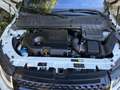 Land Rover Range Rover Evoque *BELLISSIMA* *60.000KM VERI* *4x4 FULL OPTIONAL!* Bianco - thumbnail 14