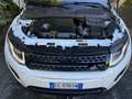 Land Rover Range Rover Evoque *BELLISSIMA* *60.000KM VERI* *4x4 FULL OPTIONAL!* Bianco - thumbnail 12