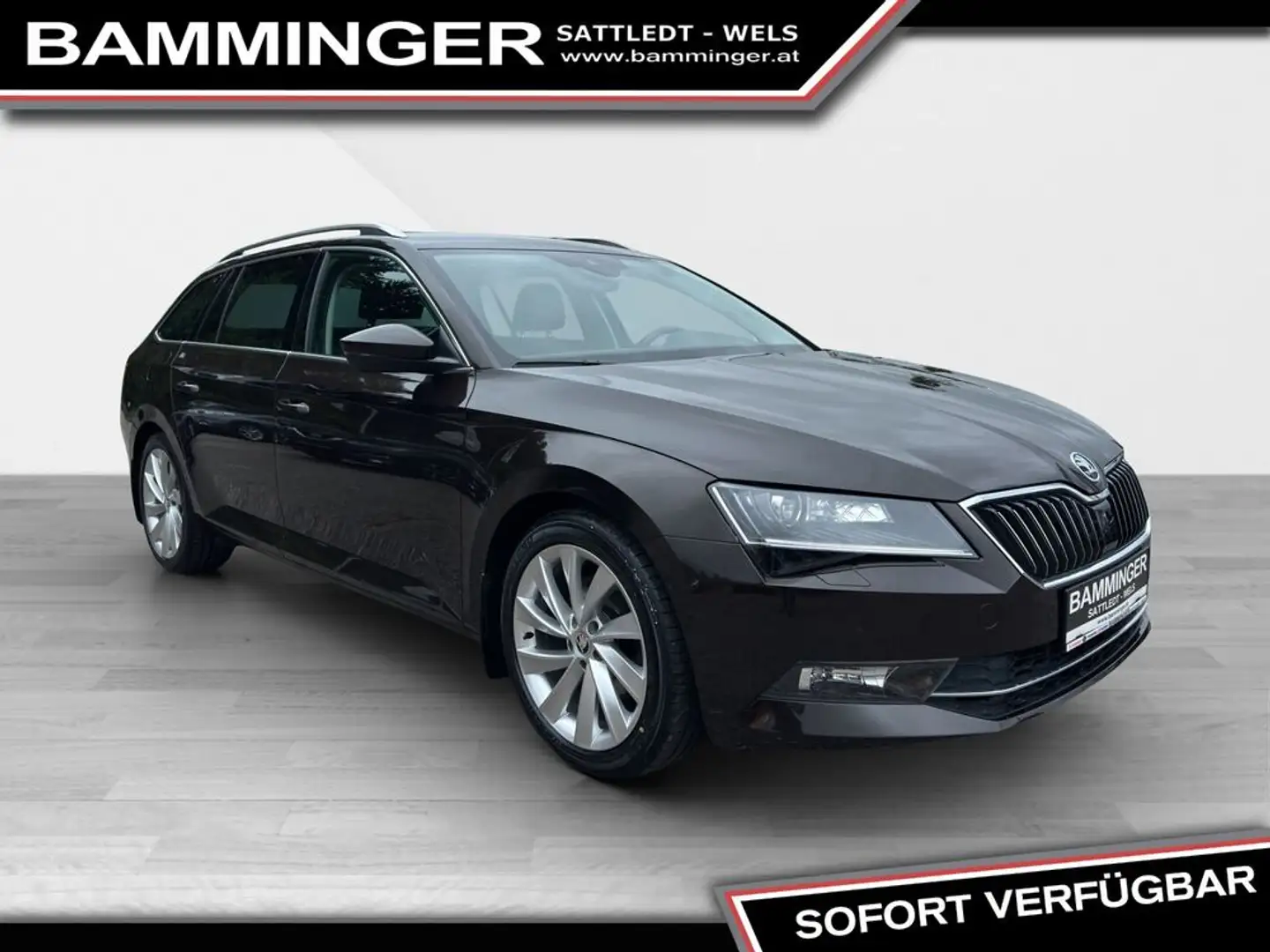 Skoda Superb Kombi 2,0 TDI 4x4 Style DSG ''8fach bereift'' Bruin - 2