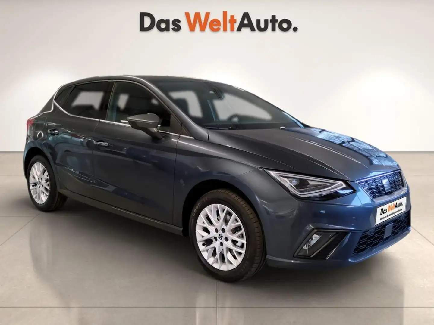 SEAT Ibiza 1.0 TSI S&S Special Edition 115 Gris - 1