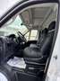 Fiat Ducato Ram ProMaster 1500 118in. Bianco - thumbnail 9