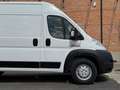 Fiat Ducato Ram ProMaster 1500 118in. Bianco - thumbnail 5