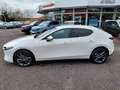 Mazda 3 Mazda3 e-Skyactiv-G140 Exclusive-Line FRÜHJAHRS... Weiß - thumbnail 1