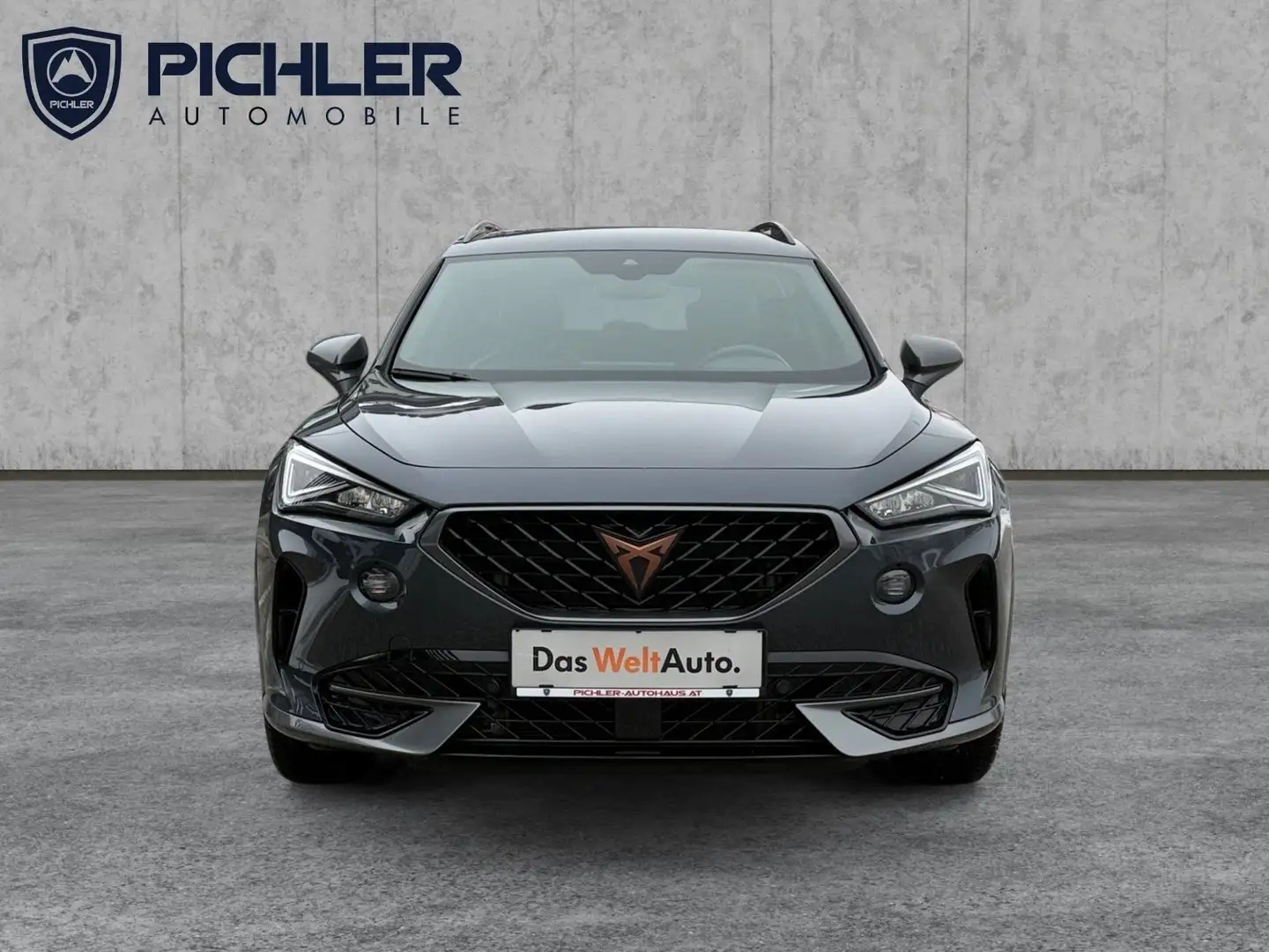 CUPRA Formentor 1.5 TSI 150 PS ACT Grau - 2
