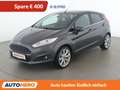 Ford Fiesta 1.0 EcoBoost Titanium Grau - thumbnail 1