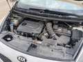 Kia Carens Carens 1.7CRDi Eco-Dynamics Euro2016 115 Euro2016 Blanco - thumbnail 12