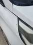 Kia Carens Carens 1.7CRDi Eco-Dynamics Euro2016 115 Euro2016 Blanco - thumbnail 7