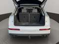 Audi Q7 3.0 TDI 200 kW Blanco - thumbnail 32