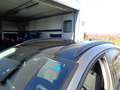 Ford Focus 1.0 EcoBoost 125 CV 5p. Active Бронзовий - thumbnail 8