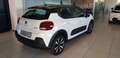 Citroen C3 BlueHDi 100 S&S Origins Bianco - thumbnail 6
