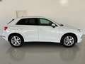 Audi Q3 40 2.0 tdi Advanced Quattro 200cv s-tronic IVA ESP Blanco - thumbnail 4