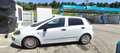 Fiat Punto Evo Punto Evo 1.3Mjt Active S Blanco - thumbnail 2