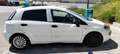 Fiat Punto Evo Punto Evo 1.3Mjt Active S Blanco - thumbnail 6