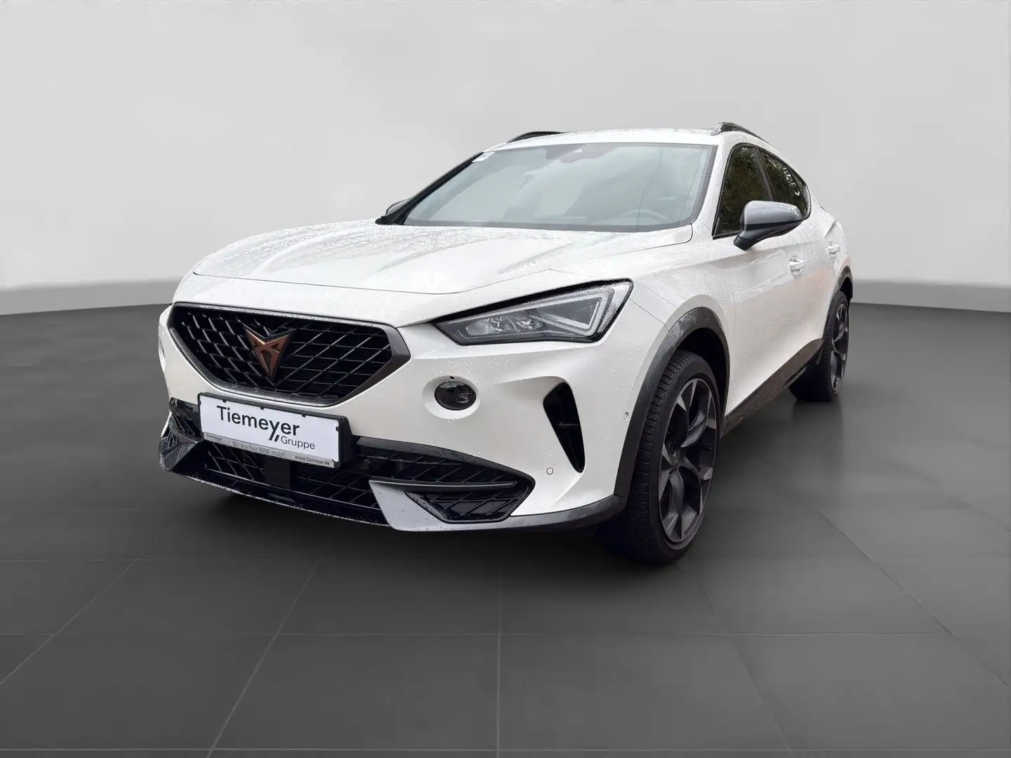 CUPRA Formentor VZ 2.0 TSI LM19 NAVI KAMERA VIRTUAL Weiß - 2
