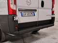 Opel Movano 35 2200 BlueHDi 140CV L2H2 P.M. T.A. Furgone Km. 0 Bianco - thumbnail 14