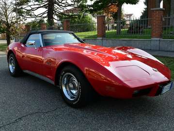Stingray