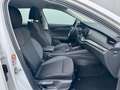 Skoda Octavia Combi 2,0 TDI Ambition Blanc - thumbnail 12