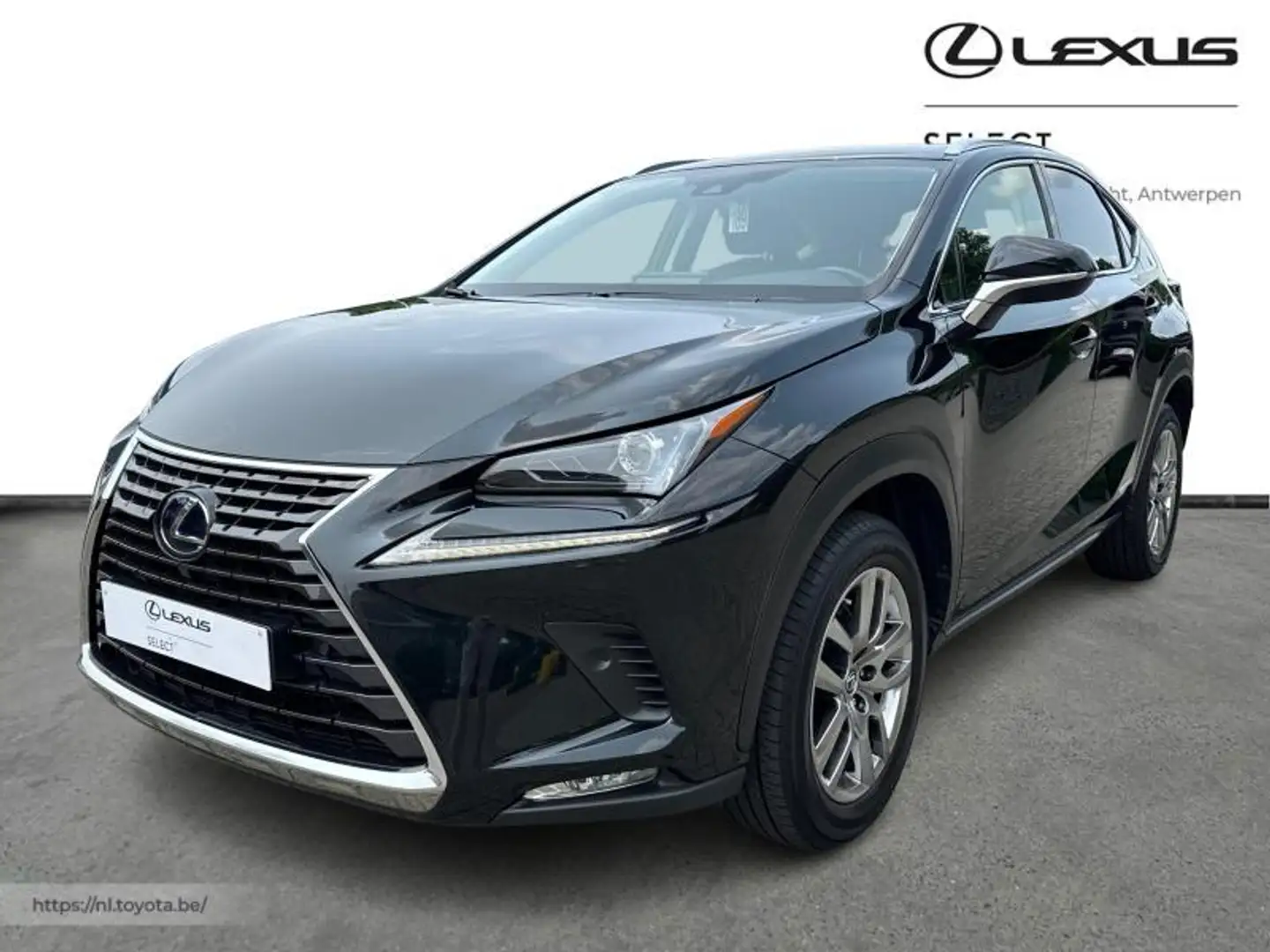 Lexus NX 300h Executive Line Siyah - 1