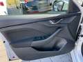 Skoda Scala Drive 125 1,0l TSI DSG *ACC*LED* Weiß - thumbnail 14