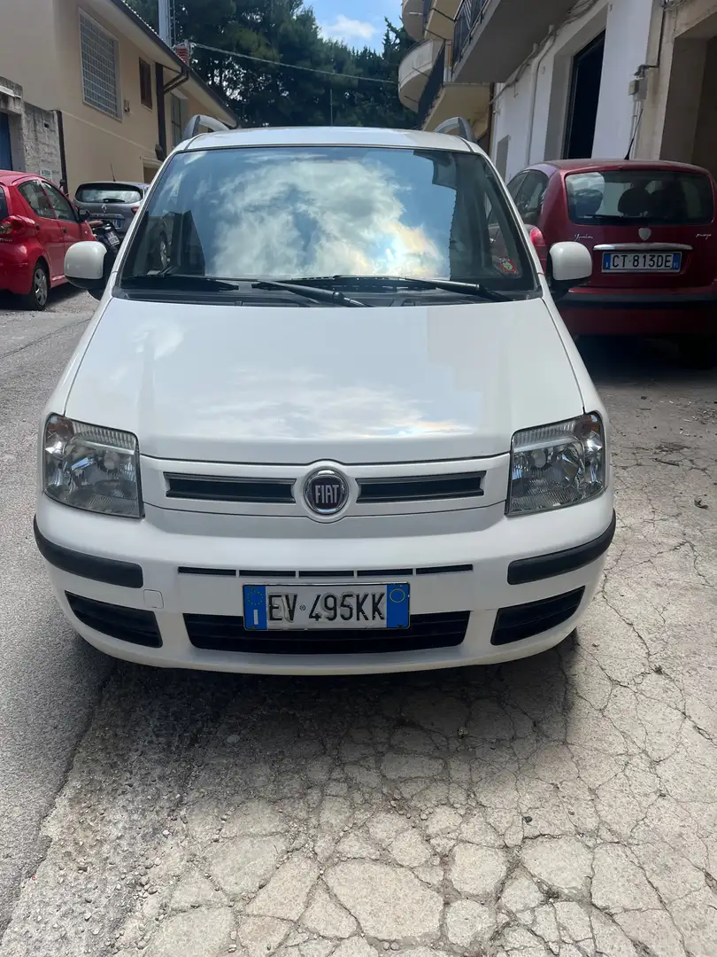 Fiat Panda Panda 1.2 Dynamic eco Bianco - 1