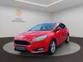 Ford Focus Lim. Business/LM/SCHECKHEFT/AHK/NAV/2.HAND Rouge - thumbnail 1
