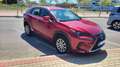 Lexus NX 300h NX 300h Executive 4WD Executive Rojo - thumbnail 11