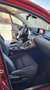 Lexus NX 300h NX 300h Executive 4WD Executive Rojo - thumbnail 14