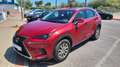 Lexus NX 300h NX 300h Executive 4WD Executive Rojo - thumbnail 9