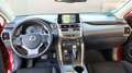 Lexus NX 300h NX 300h Executive 4WD Executive Rojo - thumbnail 17