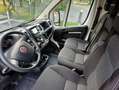 Fiat Ducato 35 MH2 3.0 CNG 16V 136CV E6D-temp Bianco - thumbnail 6