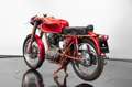 Ducati 200 ELITE Rojo - thumbnail 3