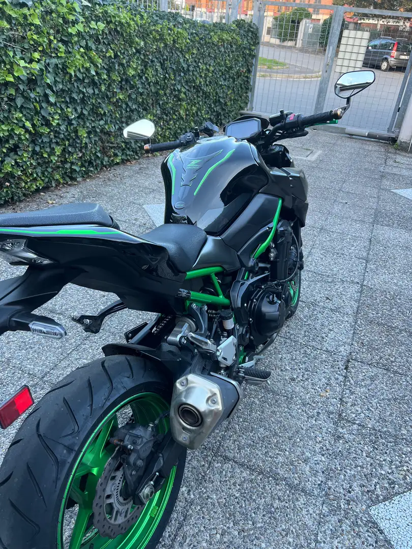 Kawasaki 900 Z A2 2023 Zöld - 2