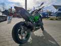 Kawasaki Z 900 Z 900 Performance Grün - thumbnail 3